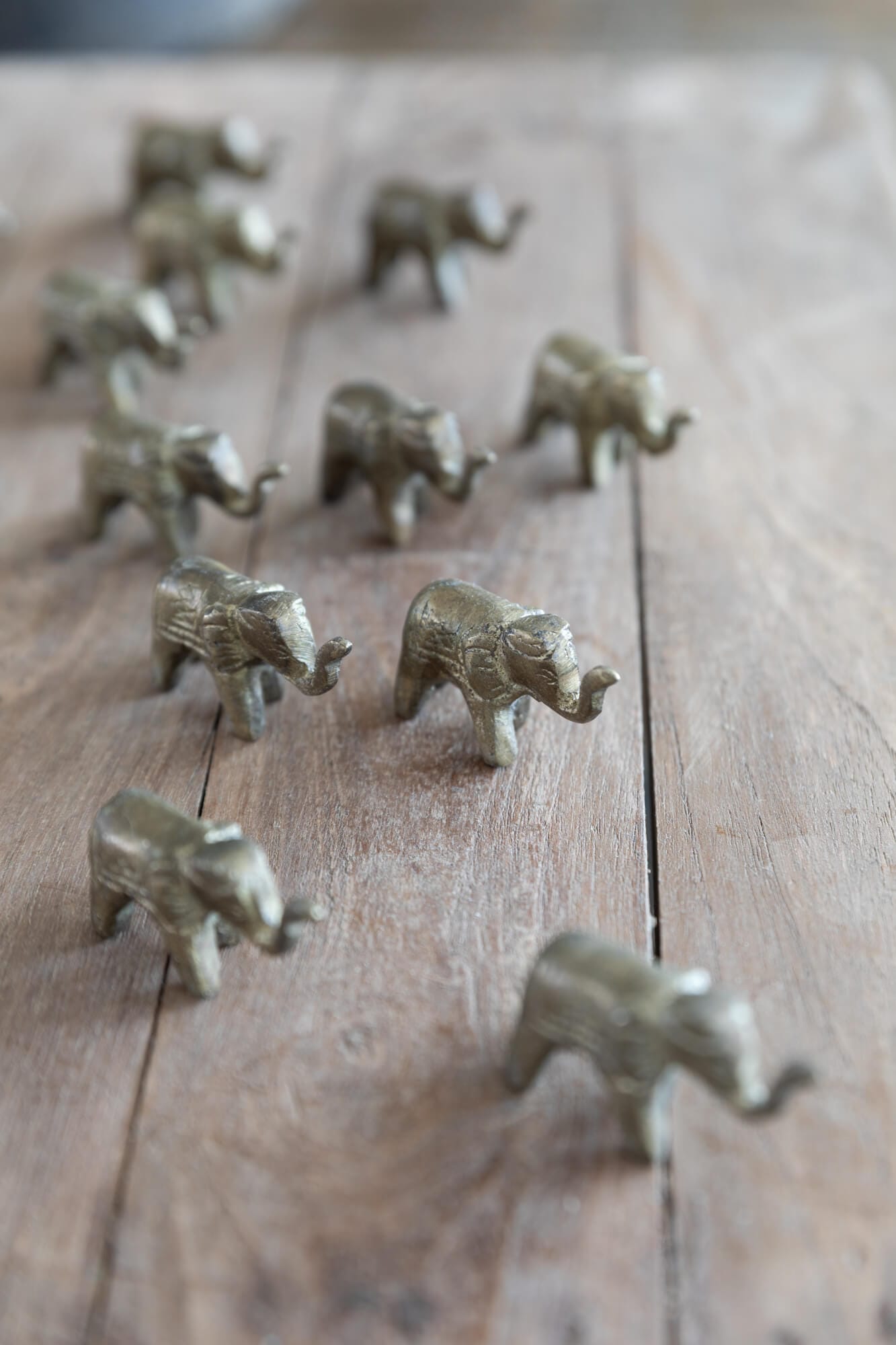 MINI Elefant